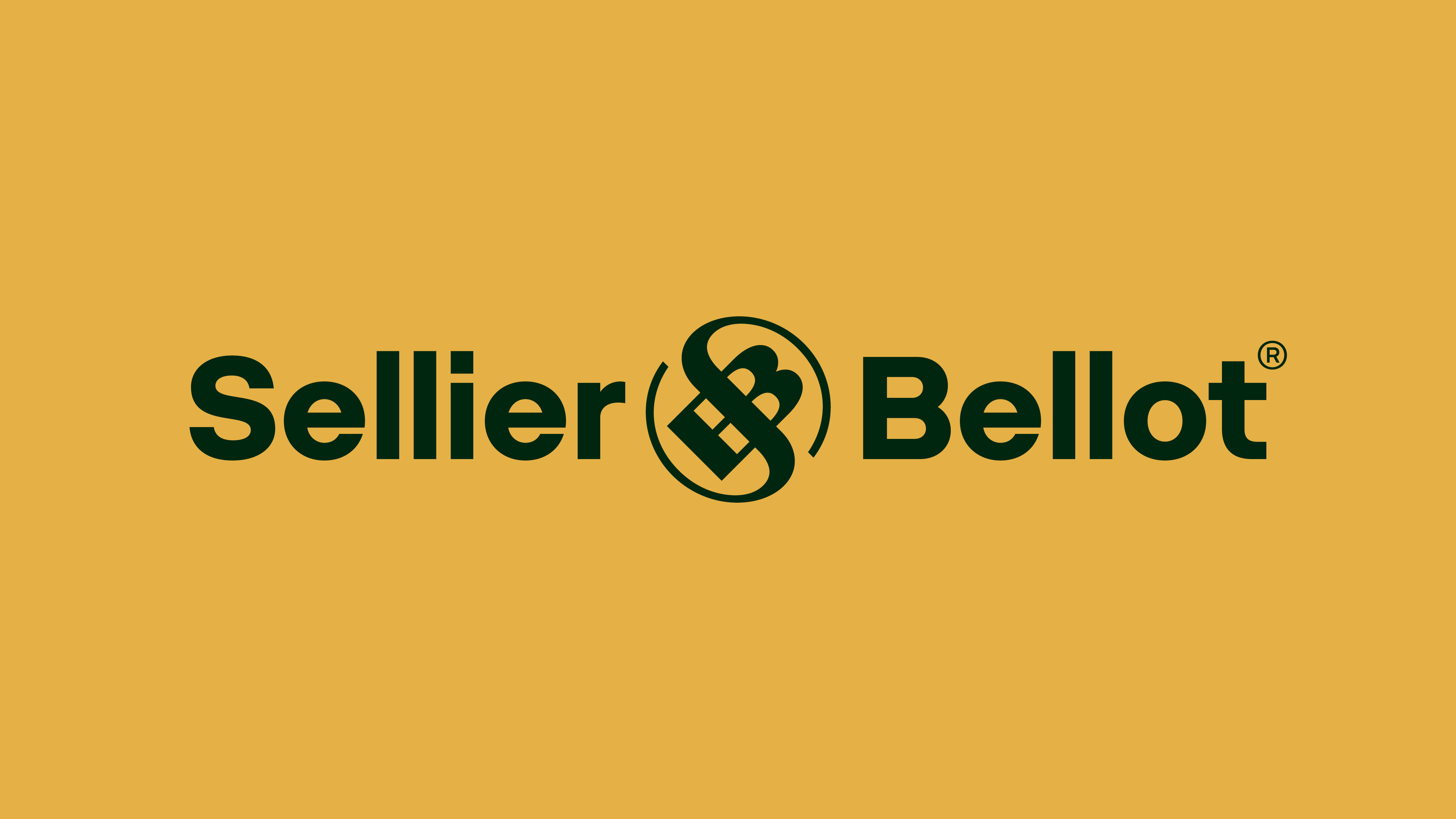 SELLIER & BELLOT - AMMUNITION